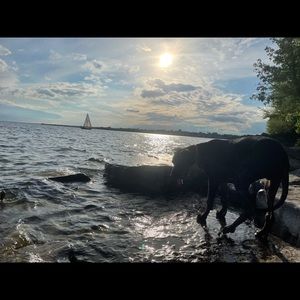 Meet your Posher, Mercedes